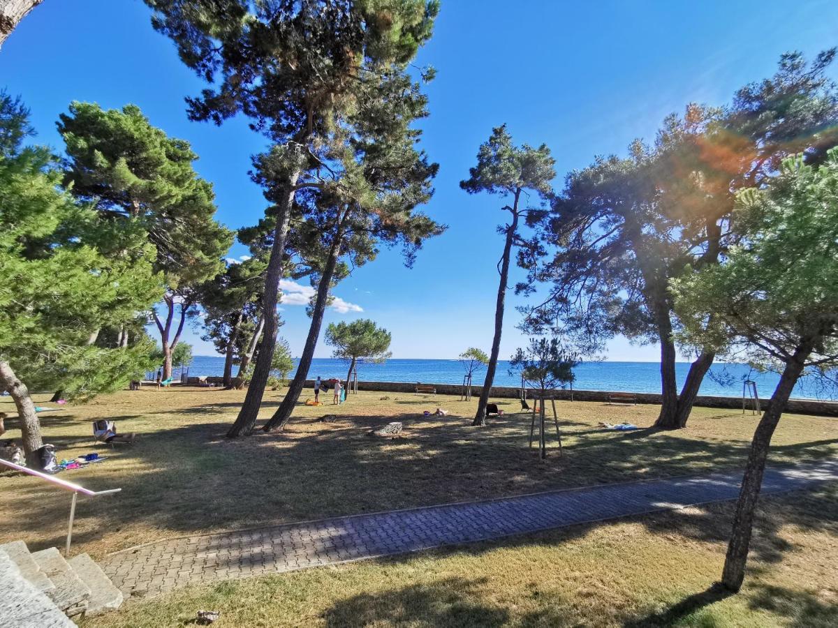 Emily Deluxe Superior 5 Star Studio Apartment, Your Piece Of Heaven With Sea & Park View Novigrad  Zewnętrze zdjęcie