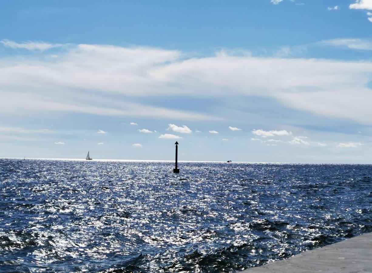 Emily Deluxe Superior 5 Star Studio Apartment, Your Piece Of Heaven With Sea & Park View Novigrad  Zewnętrze zdjęcie